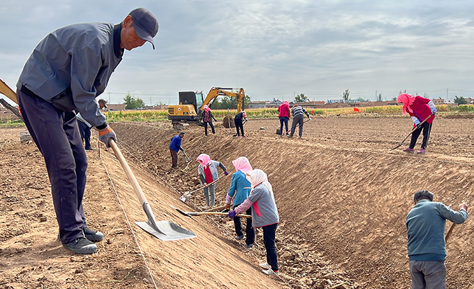 大名县2021年度小型农田水利设施产业发展配套项目(七标段)